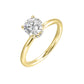 1/10 Ctw Daphne Diamond Hidden Halo Engagement Ring Setting in 14 Karat Yellow Gold