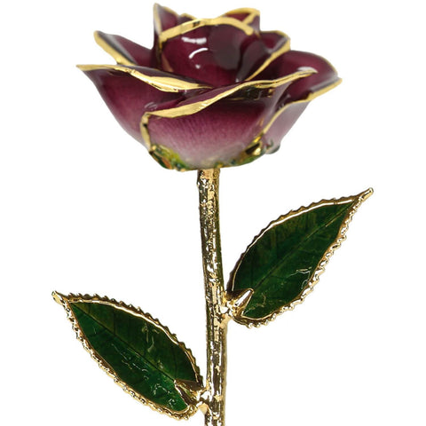 Purple Ombre 24K Gold Dipped Rose