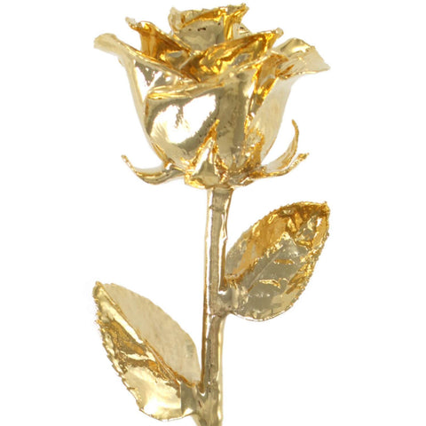 Venus Gold 24K Gold Dipped Rose