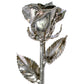 Venus Platinum Dipped Rose